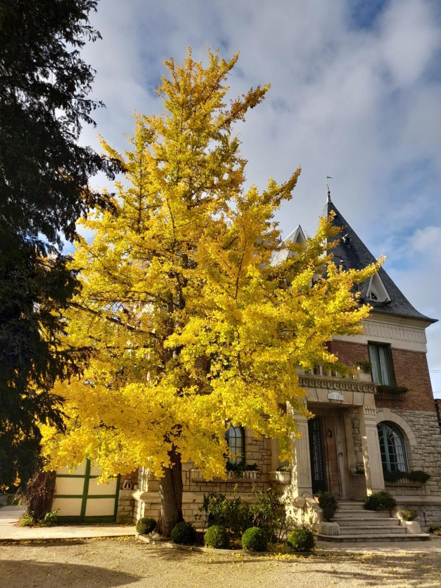Villa Les Iris Saint-Félix Exteriör bild