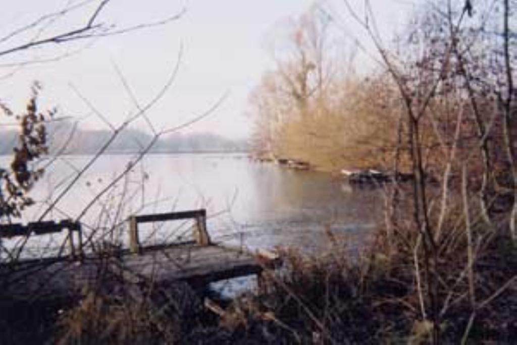 Villa Les Iris Saint-Félix Exteriör bild